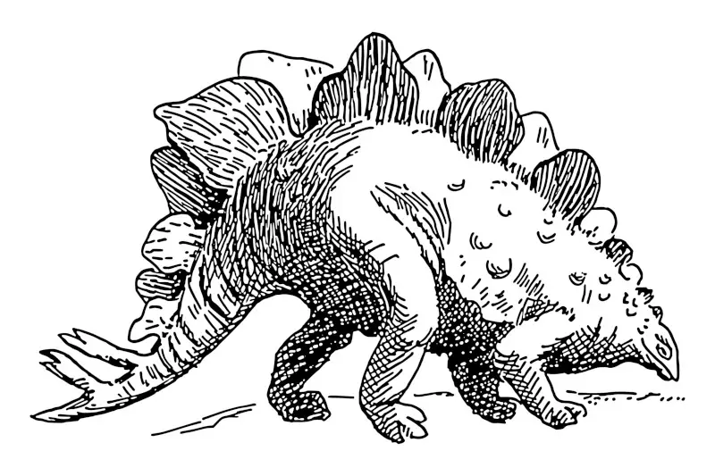 Stegosaurus Hand Drawn Line Drawing